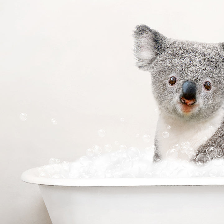 Koala Bear in Rustic Bath