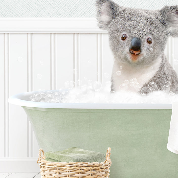 Koala Bear in Cottage Green Bath