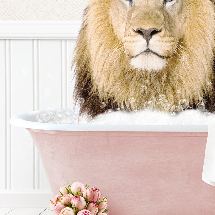 Male Lion in Cottage Pink Bath