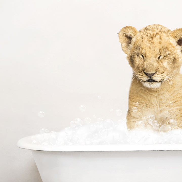 Lion Cub with Duckling in Rustic Bath