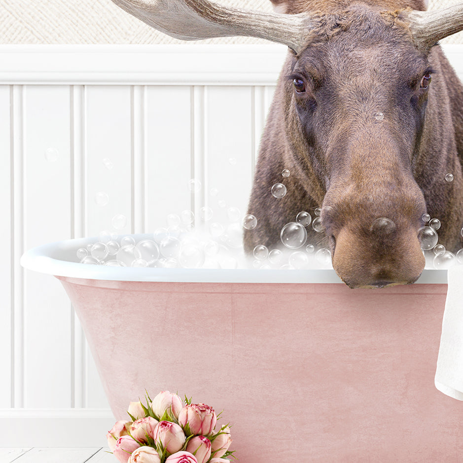 Moose in Cottage Pink Bath