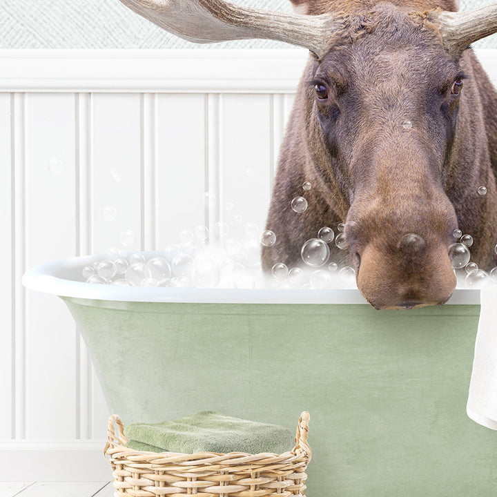 Moose in Cottage Green Bath