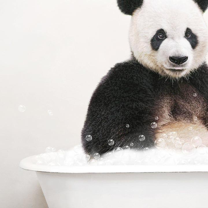 Panda Bear in Rustic Bath