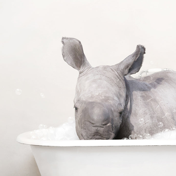 Baby Rhino in Rustic Bath