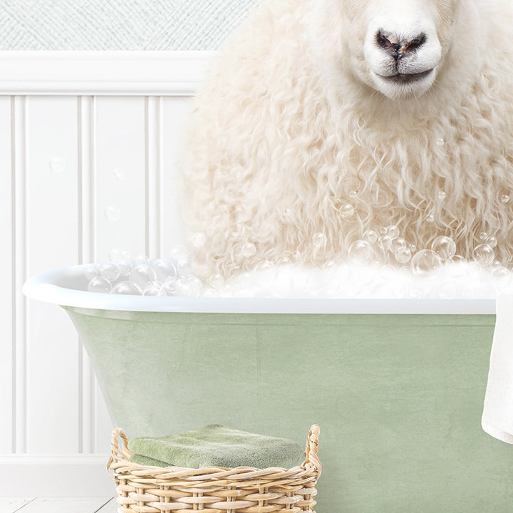 Sheep in Cottage Green Bath