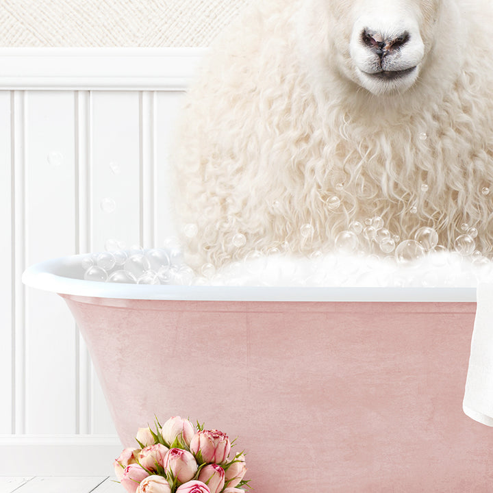 Sheep in Cottage Pink Bath