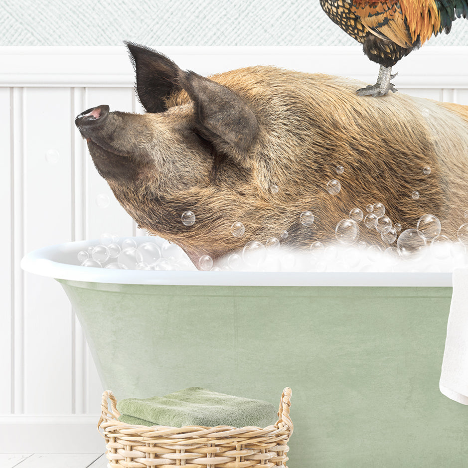 Hog and Rooster in Cottage Green Bath