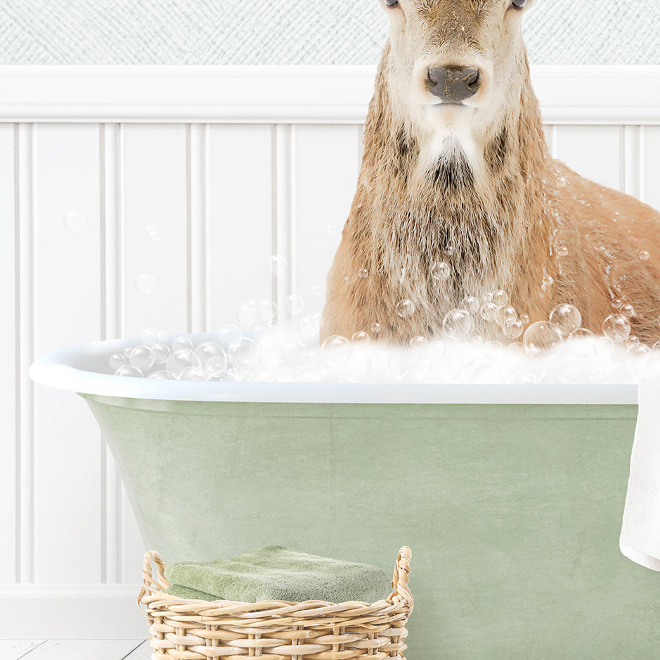 Male Deer in Cottage Green Bath