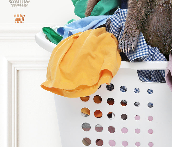 Three Bear Cubs in Laundry Basket - Assorted Wallpapers