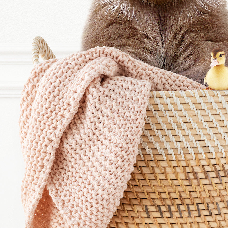 Bear Cub in Laundry Basket - Simple White Wall