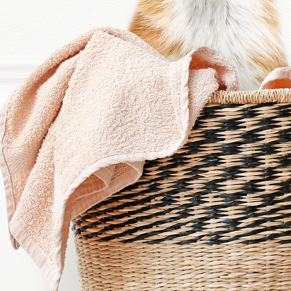 Fox in Laundry Basket - Simple White Wall