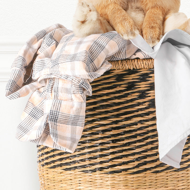 Pudgy Bunny in Laundry Basket - Simple White Wall