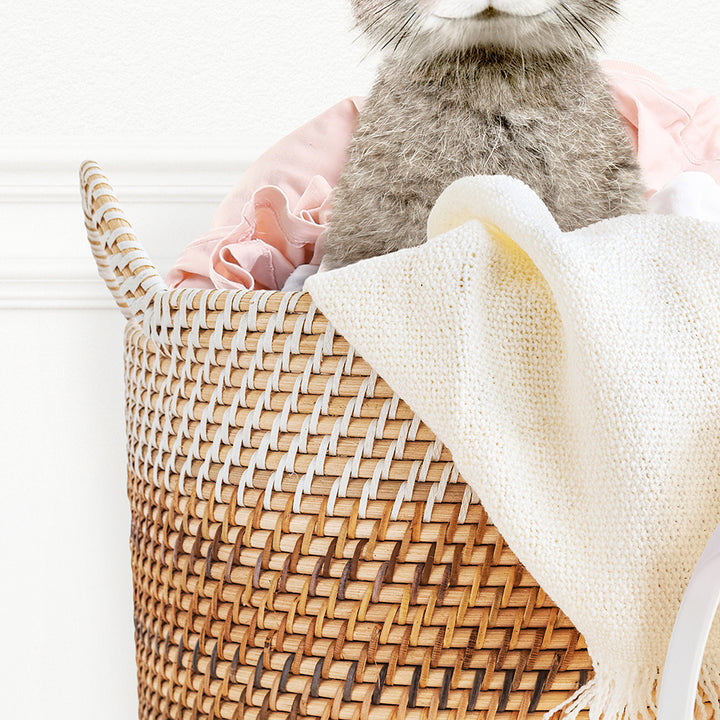 Baby Rabbit in Laundry Basket - Simple White Wall