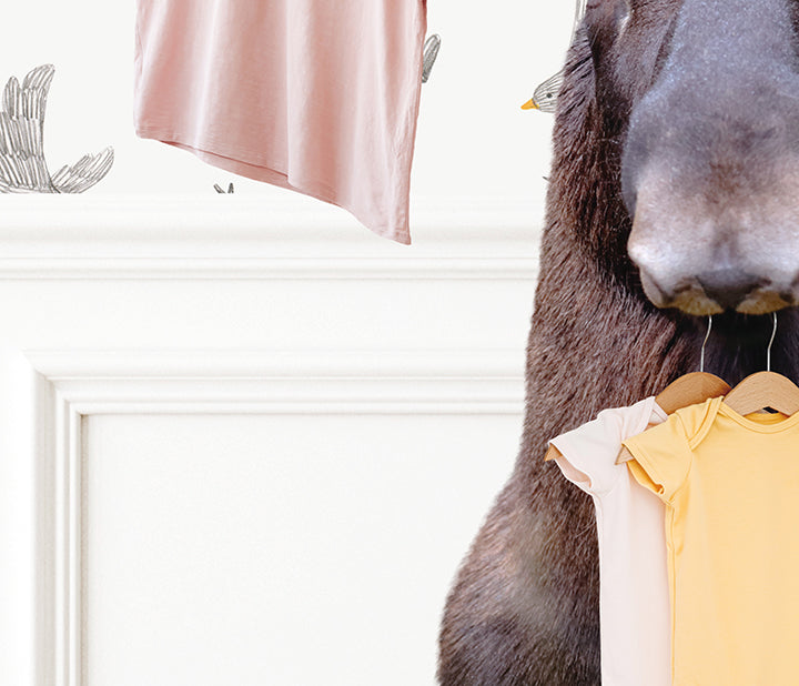 Moose Clothes Hanger - Assorted Wallpapers