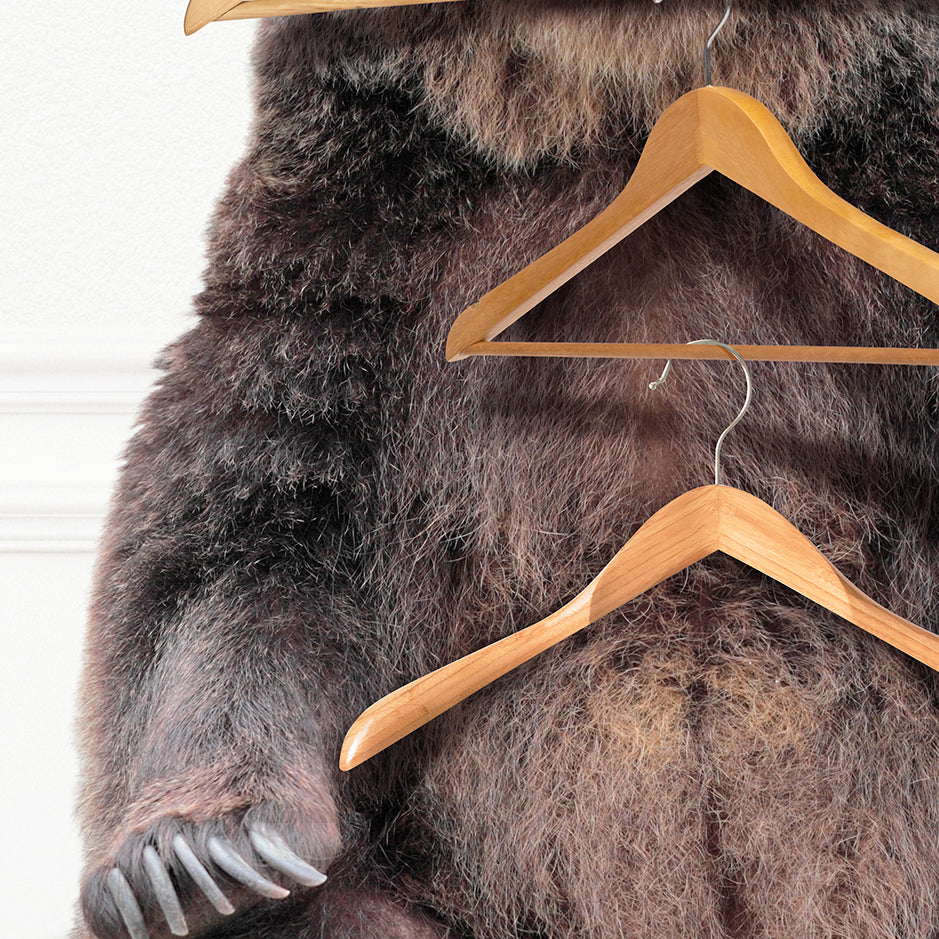 Bear with Clothes Hangers - Simple White Wall