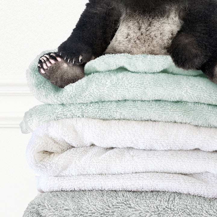 Baby Panda on Folded Towels - Simple White Wall