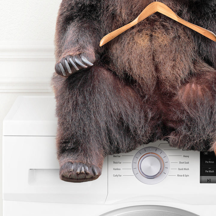 Bear Wearing Clothes Hangers on Washing Machine - Simple White Wall