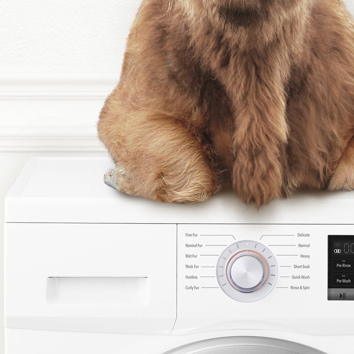 Highland Cow on Washing Machine - Simple White Wall