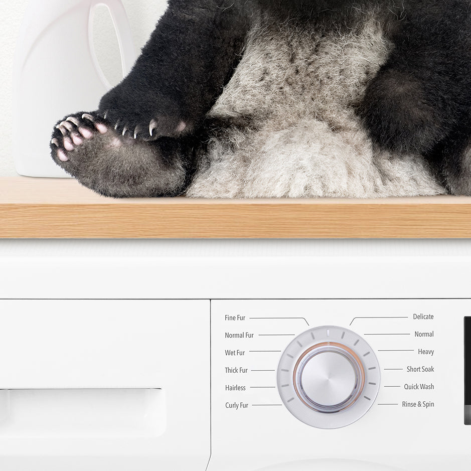 Baby Panda on Shelf Above Washing Machine - Simple White Wall