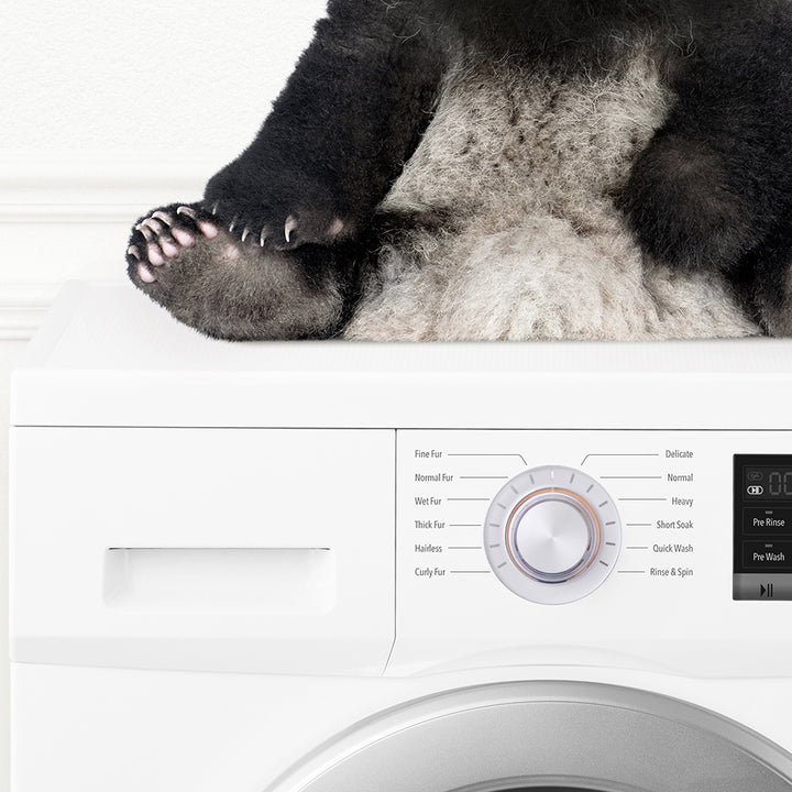 Baby Panda on Washing Machine - Simple White Wall