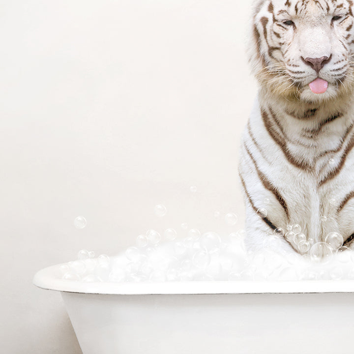 White Tiger in Rustic Bath