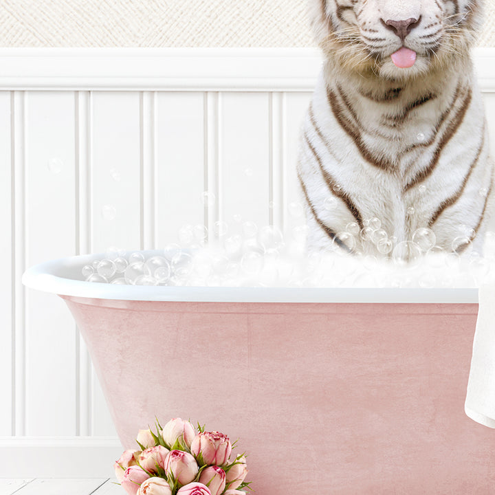 White Tiger in Cottage Pink Bath