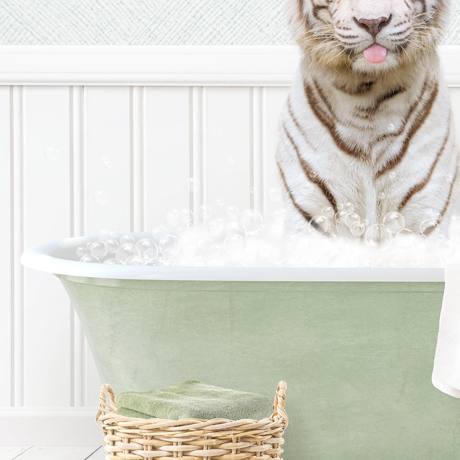 White Tiger in Cottage Green Bath