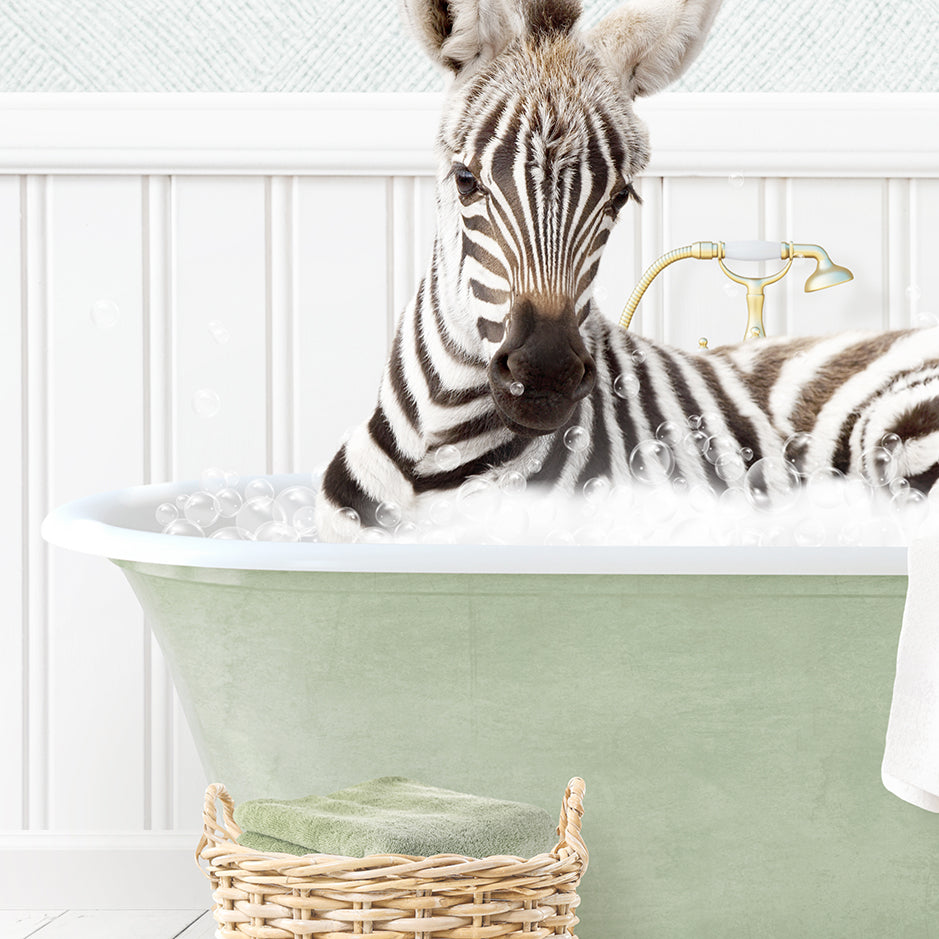 Baby Zebra in Cottage Green Bath