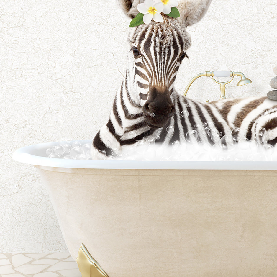 Baby Zebra - Bali Retreat Bath