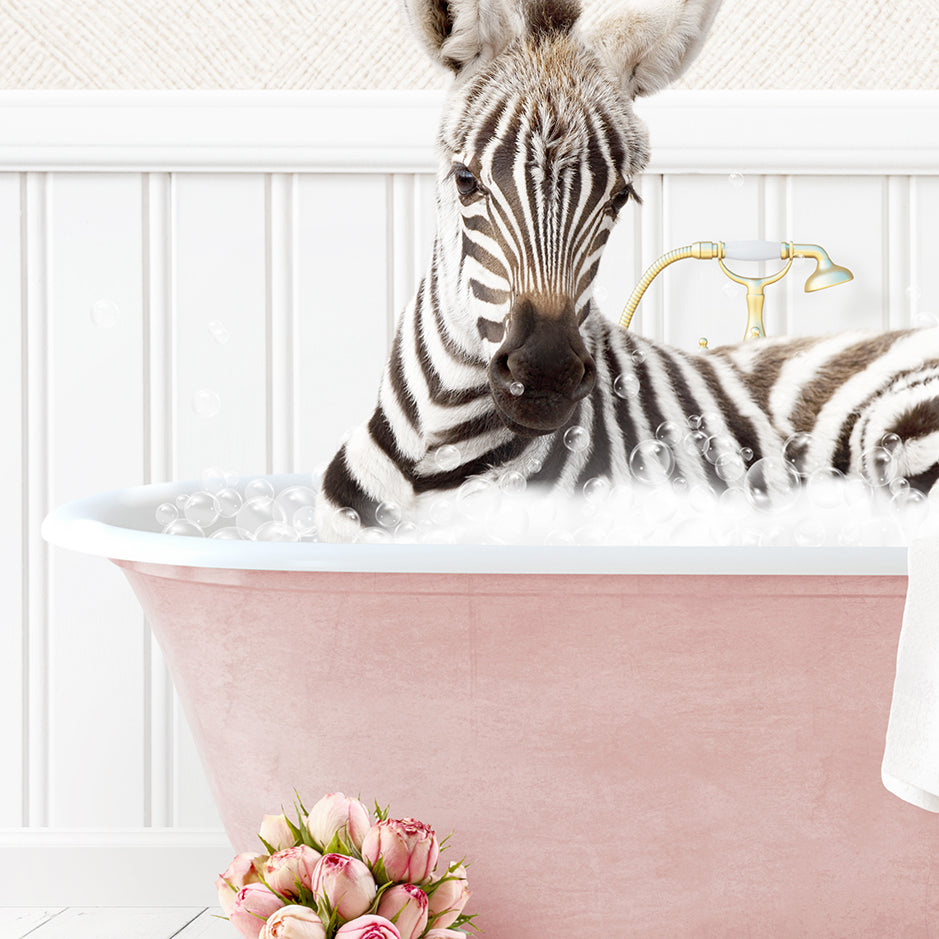 Baby Zebra in Cottage Pink Bath